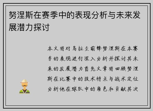 努涅斯在赛季中的表现分析与未来发展潜力探讨