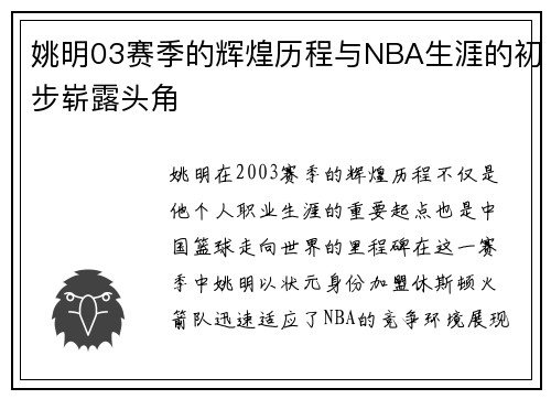 姚明03赛季的辉煌历程与NBA生涯的初步崭露头角