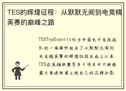 TES的辉煌征程：从默默无闻到电竞精英赛的巅峰之路